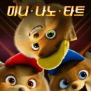 퍼피쿠키 이미지