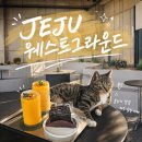 제주웨스트 | 고양이 카페 제주 웨스트 그라운드 주차와 이용 후기