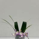 도큐노래방 | [교환학생 기록] 9주 차