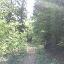 비봉내마을 이미지