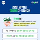 나비미르 네이버블로그