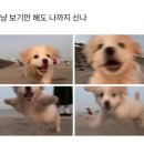 계란김밥 - 충주시 연수서편2길 35 | 계란김밥