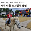 지유원룸 | 제주 애월 로그밸리 펜션, 매일 아침 승마 체험 (제주도 아이랑 여행)