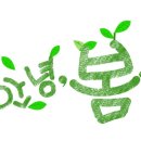 하늘태권도장 이미지