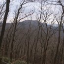 회귀-모정 이미지