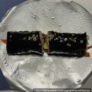 먹고시푼꼬마김밥