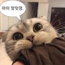 영석이네 이미지