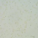 헤아림동물병원 이미지