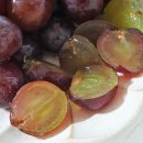 당골농원 이미지