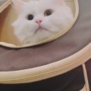 산본중앙동물병원 이미지