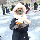 화천군 보건의료원 | 화천 산천어 축제 ㅣ 6세 10세 아이와 낚시, 주차, 위치, 준비물