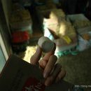 &lt;금산인삼시장 삼삼한 맛투어 &#39;미味&#39;&gt; ② 금산인삼시장(금산시장(갤러리 화), 금산수삼센터), 금산인삼관