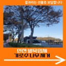 강동종합건설㈜ | 인천 벌목업체 가로수 나무 제거