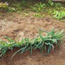 승준농장(2) 이미지