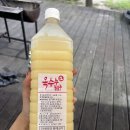 cu원주치악산점 | 원주 치악산입구점 CU 특산품 생옥수수 동동주 내돈내산 후기, 기념품