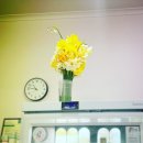 일우약국 이미지