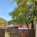 연당1로 | [포항] 독채펜션 서연당 조용한 휴식🍀