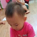 참사이언스 이미지