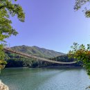 출렁다리 카페 이미지