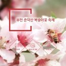 4월9일(일) 안산자락길&amp;벚꽃산책 트레킹 이미지