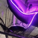 스펀지실내낚시카페 | 실내데이트 실내낚시 인천실내낚시 어썸실내낚시카페(어쩌다 발견한 짜릿한 손맛, 실내낚시카페 솔직후기)