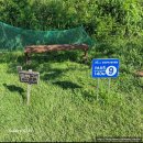 황룡 파크골프장 B 이미지