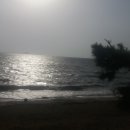 프로스펙스상설할인매장 이미지