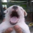 헤어by슬 | 25.10.21