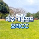 늘푸른 골프존 | 제주 골프장 겨울에도 푸른 오라CC 잔디에서 라운딩