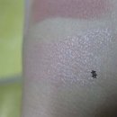 러브허니 이미지