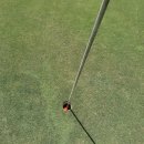 🏌️‍♀️인생 후기 어프로치샷 성공! 수트라하버 라운딩
