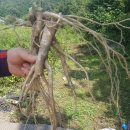 이상백농장 이미지