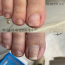 제이올리