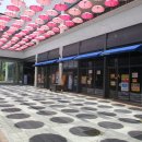 비전5로 이미지