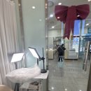 시크네일&속눈썹