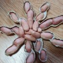 해올 이미지