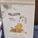플라라 | 꿀소분용기 새지 않는 플라라 곰돌이 소스통 후기