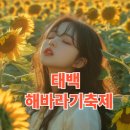 산마루펜션민박 | 태백 해바라기축제 입장료 및 기본 정보