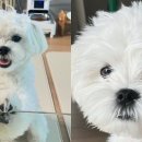 비밀