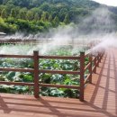 황강생태공원1 이미지