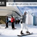 양지-3 이미지