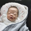 원시로5L | 이른둥이 엄마가 되었다4