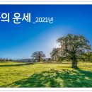 그리운상조 이미지