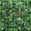 글라스타안경 성균관대점 이미지