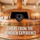 대마민박 이미지