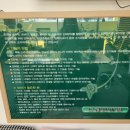 드림도수안마원 이미지