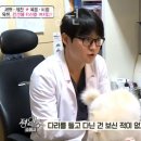 하나카동물병원 이미지