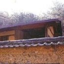 금계리(백동) Daum카페