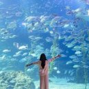 산이물공원 이미지