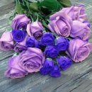 물오름달 이미지